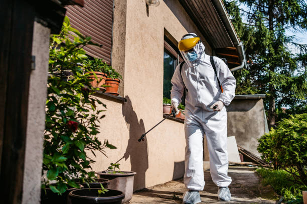 Flea Control Services in Temple City, CA