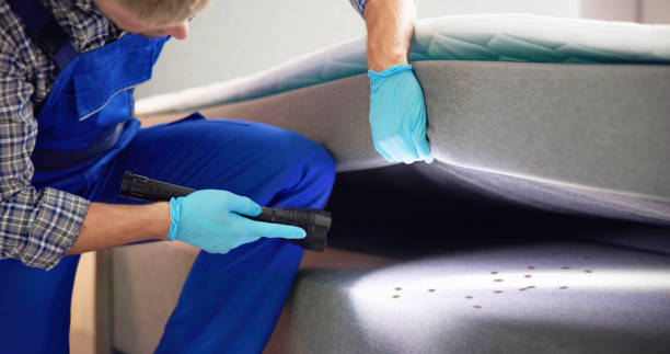 Best Pest Control Near Me in Temple City, CA