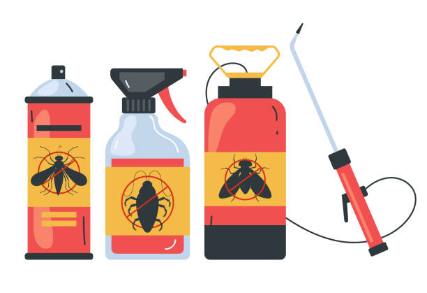 Best Spider Control Near Me  in Temple City, CA