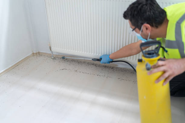 Pest Prevention Services in Temple City, CA