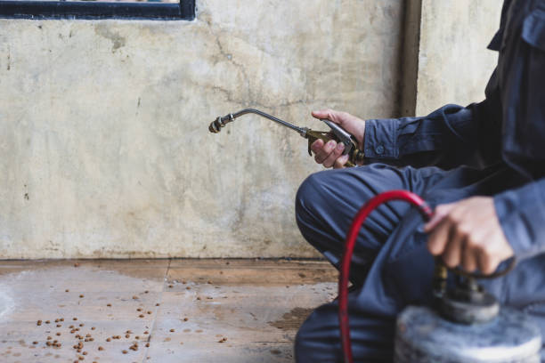 Best Commercial Pest Control Services  in Temple City, CA
