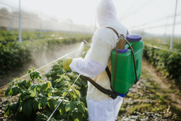 Best Commercial Pest Control Services  in Temple City, CA